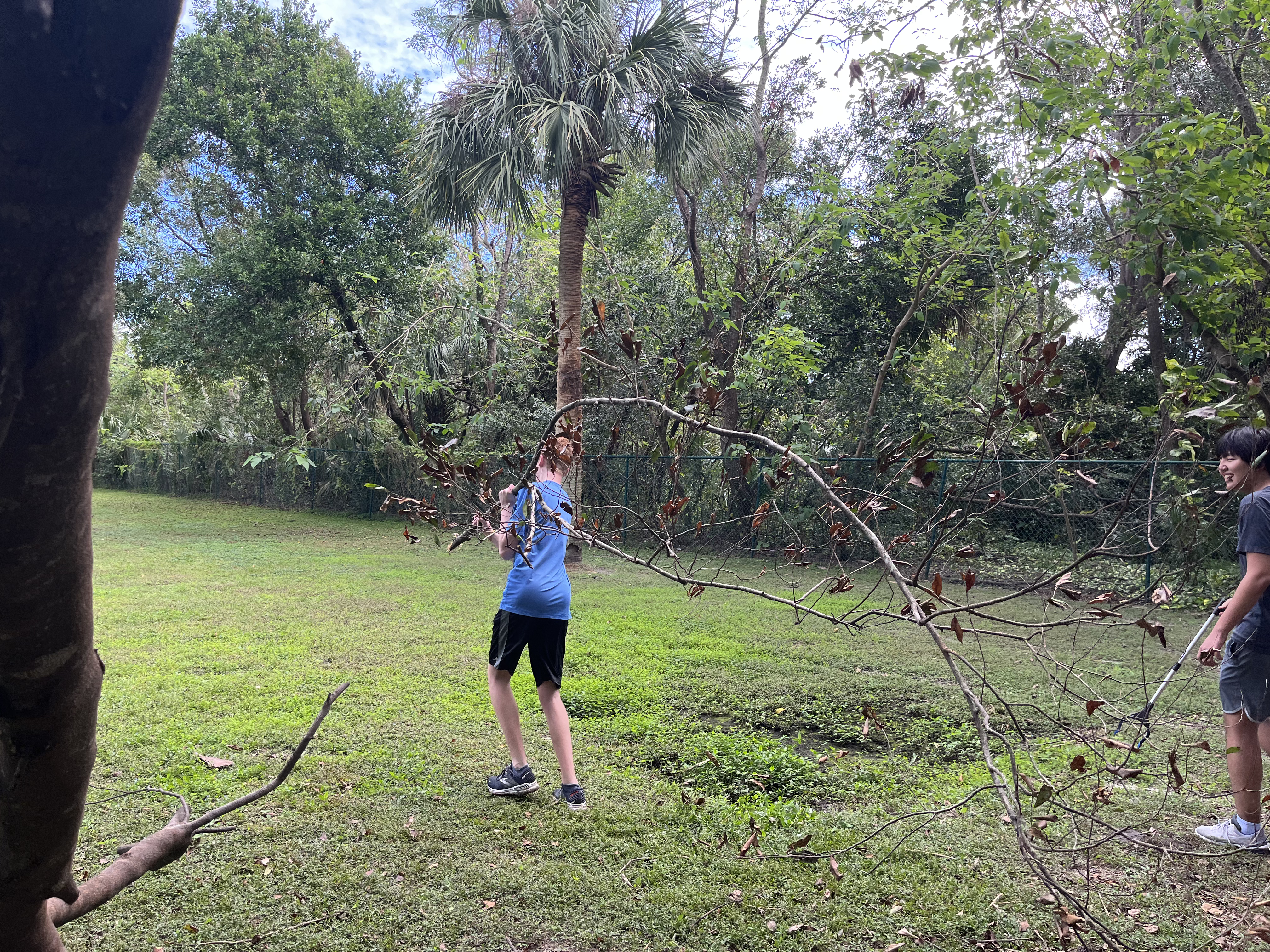 Image of Jason Wang digging a hole to plant the precious friut trees.